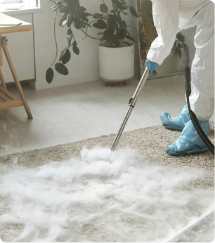 Professional carpet cleaning with steam machine